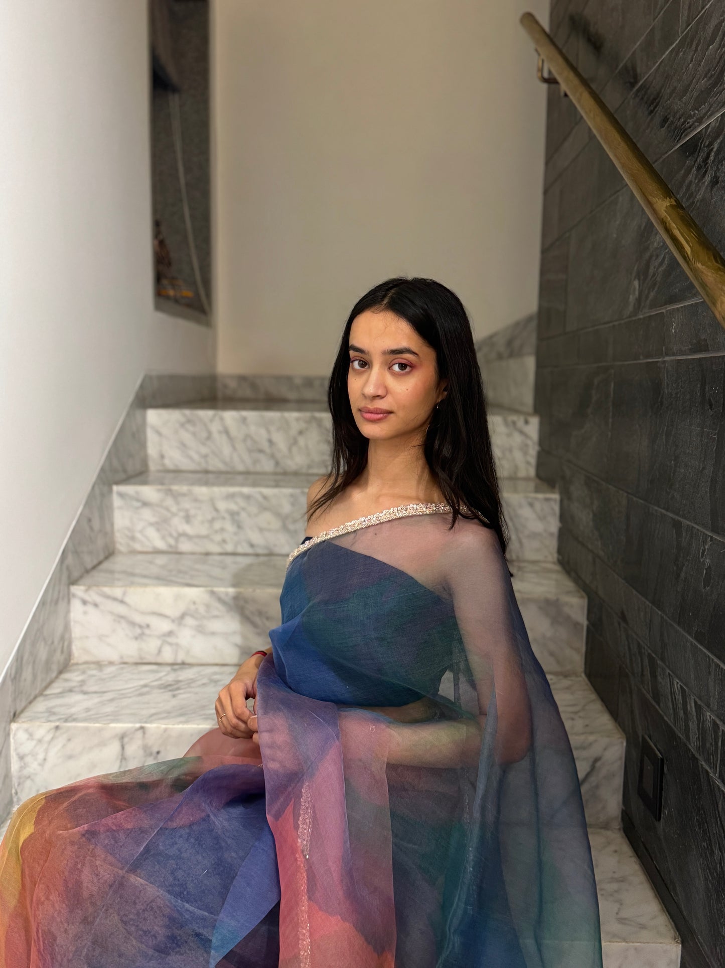 The Montara Organza Saree