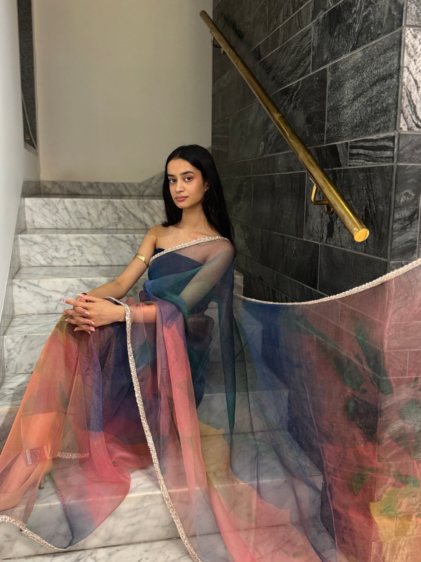 The Montara Organza Saree
