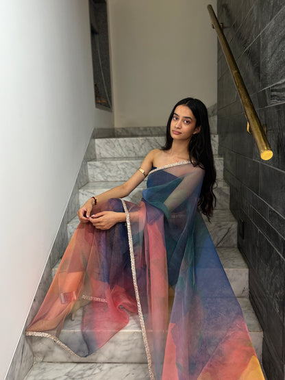 The Montara Organza Saree